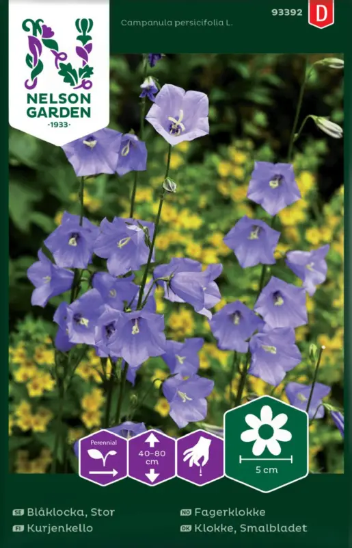 Campanula persicifolia, Blåklocka, Stor Erbjudandepris
