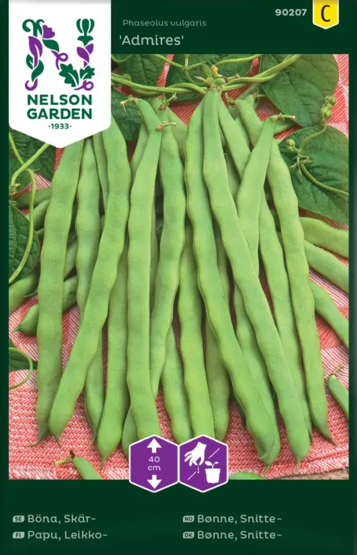 Phaseolus vulgaris Admires, Skärböna Admires Rea
