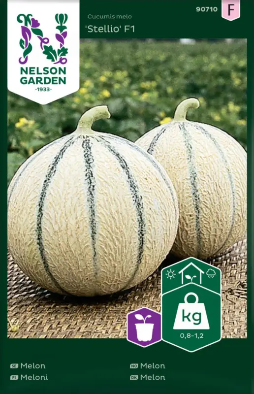 Begränsat antal Cucumis melo Stellio F1, Melon Stellio F1