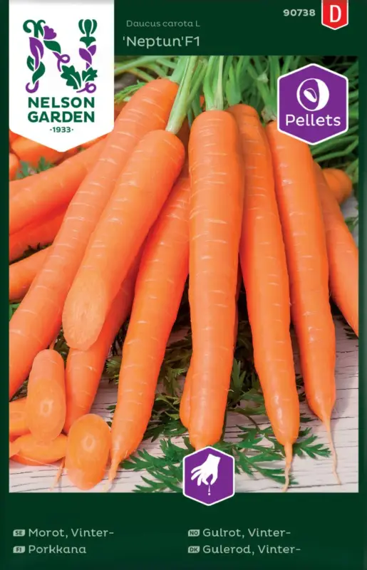 Daucus carota Flakkée 2, Morot Höst Flakkée 2, Såband Erbjudandepris