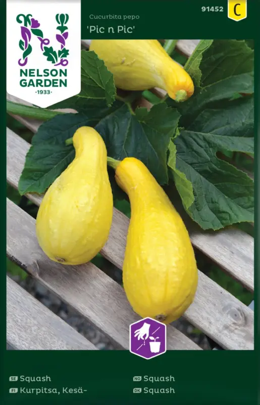 Cucurbita pepo Pic n Pic, Squash, Pic n Pic Sista chansen