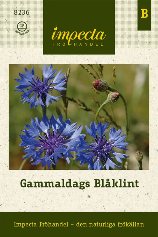 Handla nu Centaurea cyanus, Blåklint Gammaldags