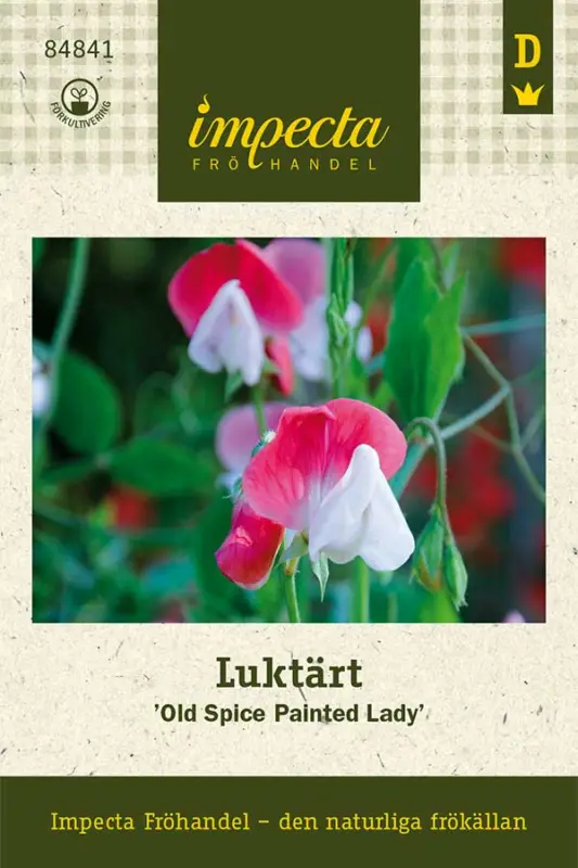 Lathyrus odoratus Old Spice Painted Lady, Luktärt Old Spice Painted Lady Endast idag