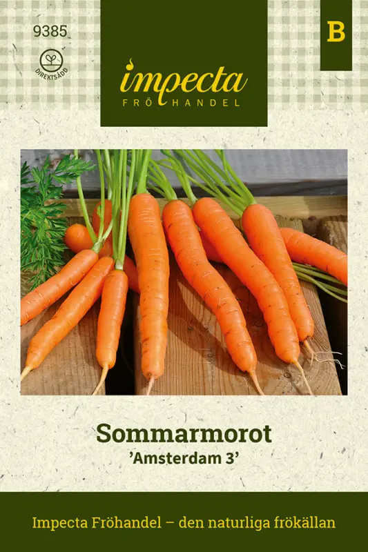 Beställ idag Daucus carota ssp. sativus Amsterdam 3, Morot Sommar Amsterdam 3