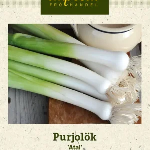 Allium ampeloprasum (Porrum-gr.) Atal, Purjolök Atal Beställ nu