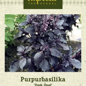 Expressleverans Ocimum basilicum var. purpurascens Dark Opal, Basilika, Purpur-, Dark Opal