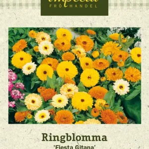 Calendula officinalis Fiesta Gitana, Ringblomma, Fiesta Gitana Fynd