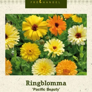 Rabatter Calendula officinalis Pacific Beauty, Ringblomma, Pacific Beauty
