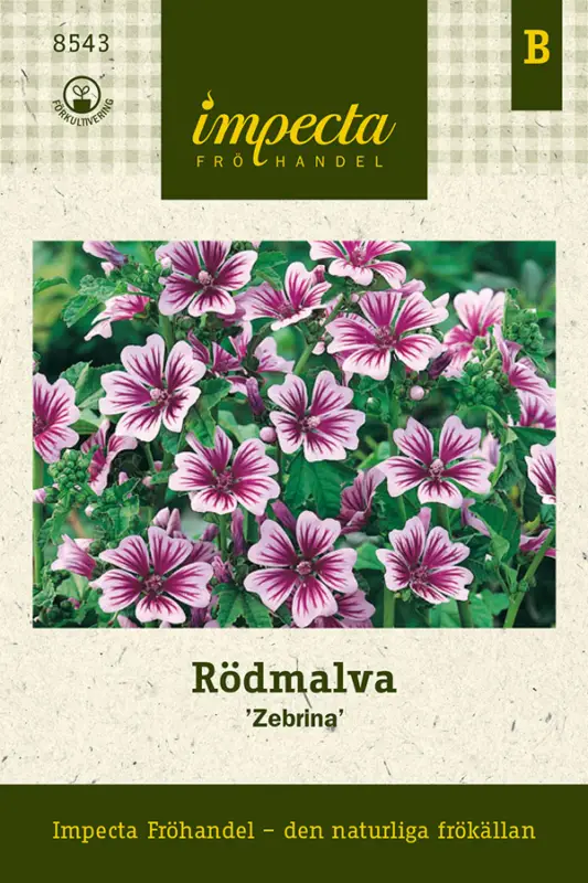 Malva sylvestris Zebrina, Malva, Röd-, Zebrina Erbjudandepris