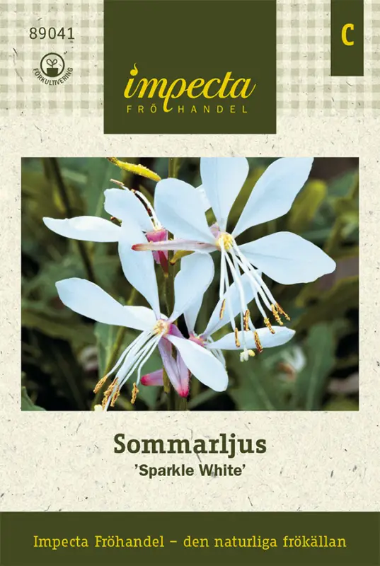 Gaura lindheimeri Sparkle White, Sommarljus, Sparkle White Nyhet