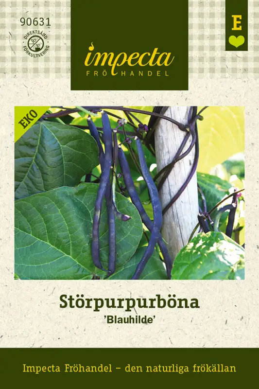 Säker betalning Phaseolus vulgaris Brunhilde, Störpurpurböna Blauhilde, Ekologisk