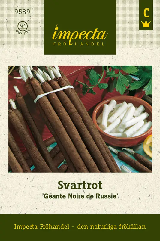 Scorzonera hispanica, Svartrot Géante Noire de Russie Fynd