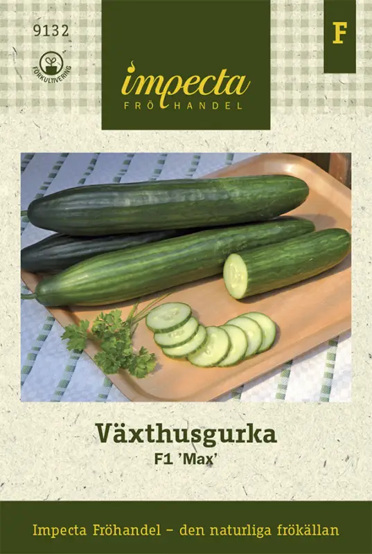 Snabb leverans Cucumis sativus (Slanggurka-gr.) F1 Max, Växthusgurka Max F1