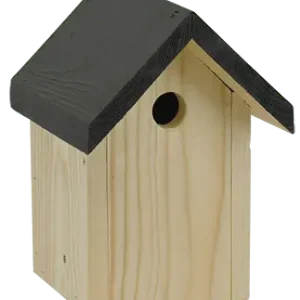 Populärt val Fågelholk, Småfågel