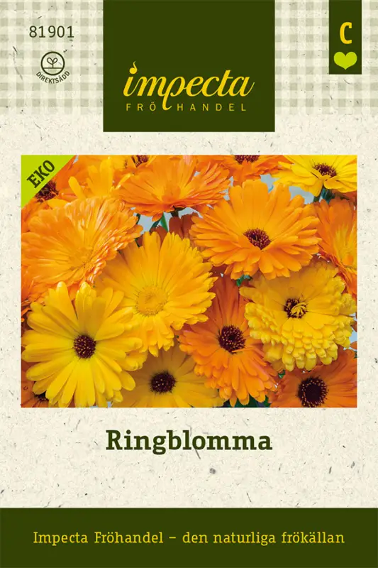 Rabatt Calendula officinalis, Ringblomma, Ekologisk