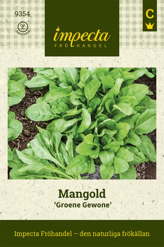 Köp nu Beta vulgaris Groene Gewone, Mangold, Groene Gewone