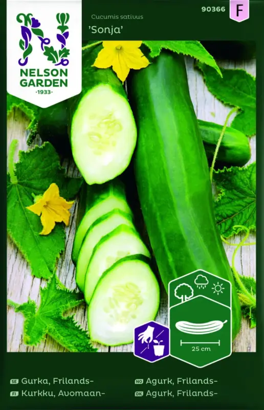 Beställ idag Cucumis sativus Sonja, Frilandsgurka Sonja