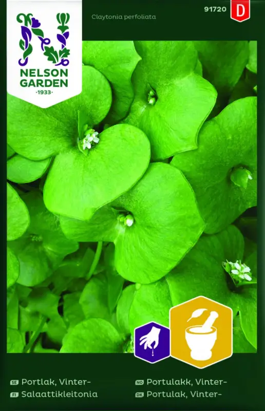 Claytonia perfoliata, Vinterportlak Köp nu