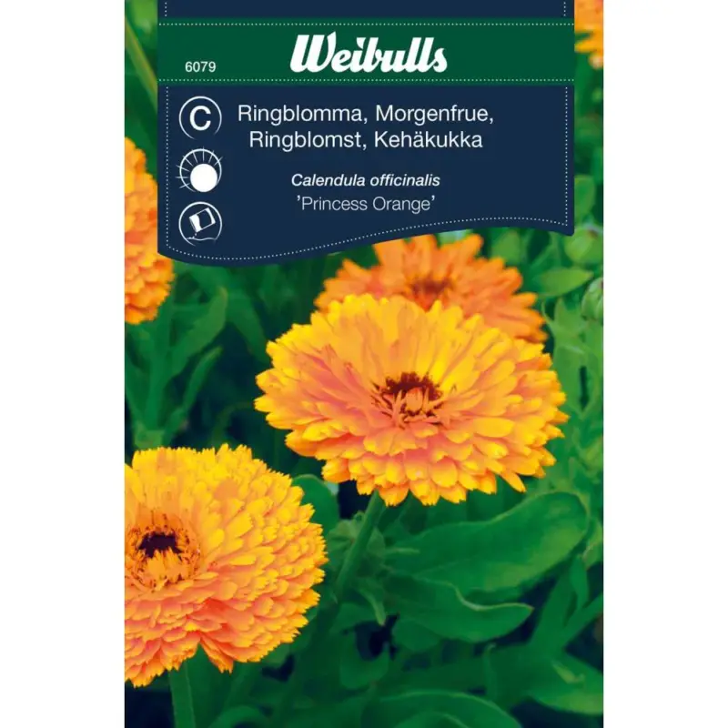 Billig Weibulls Ringblomma 'Princess orange'