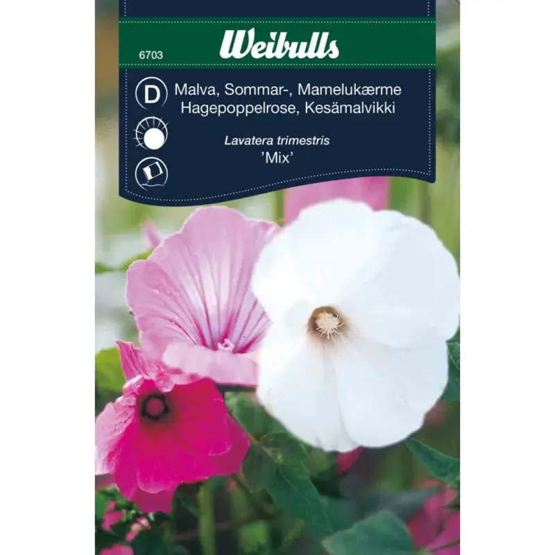 Fynd Weibulls Malva, sommar- 'Mix'