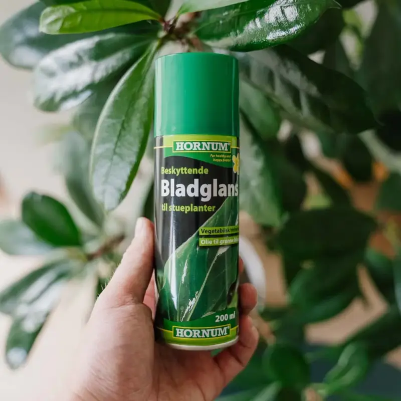 Begränsad tid Bladglans 200 ml