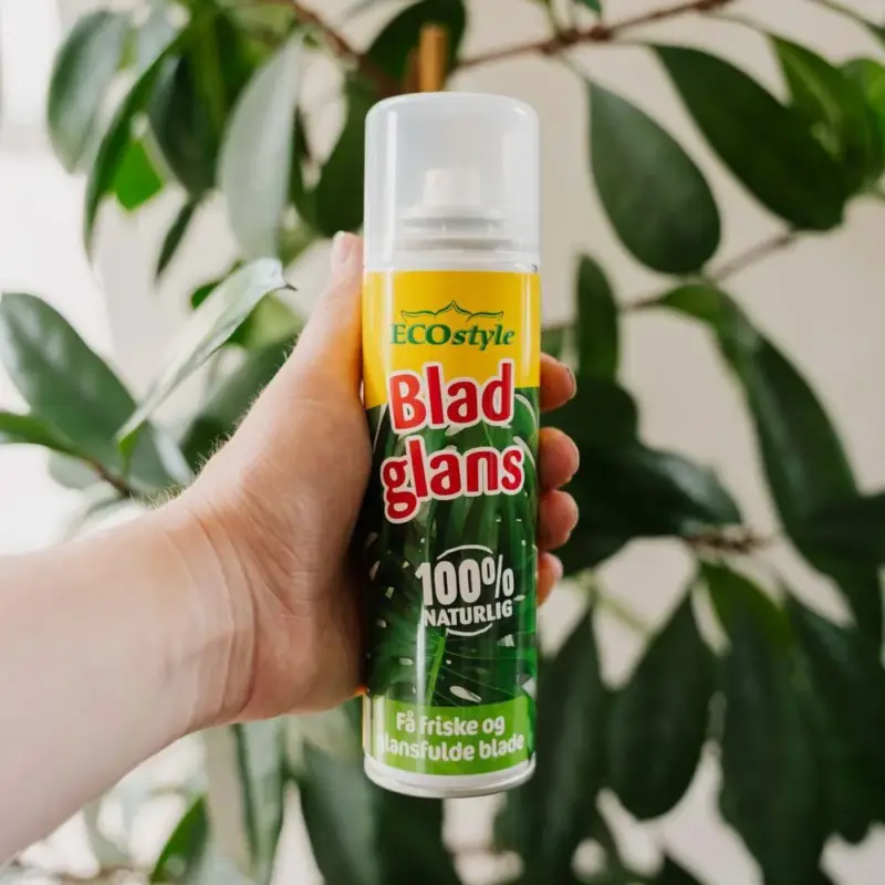 ECOstyle Bladglans 200 ml Snabb leverans