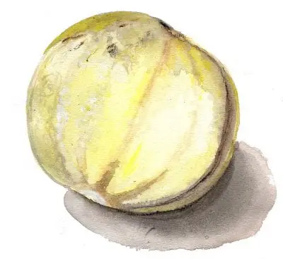 Melon ’Billeberga’, Frö Säker betalning