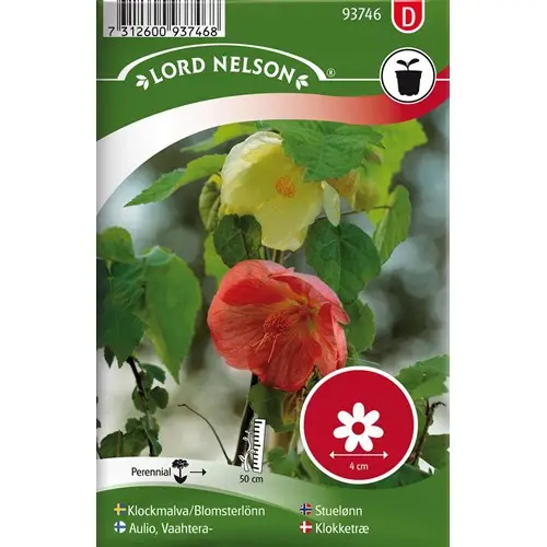 Klockmalva / Blomsterlönn, bl färger Nyhet
