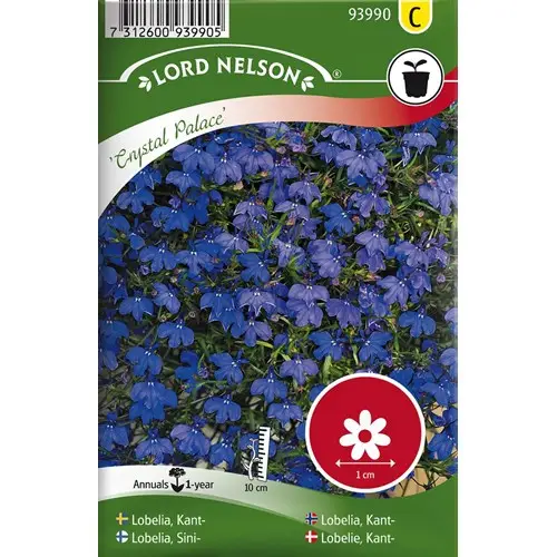 Snabb leverans Lobelia, Kant-, Crystal Palace