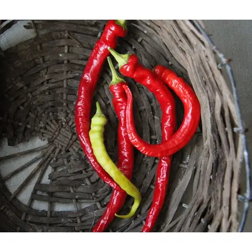 Begränsad tid Paprika, Spiralus