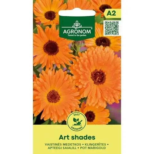 Beställ idag Ringblomma, Art Shades