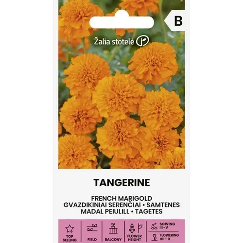 Fynd Tagetes, Tangerine