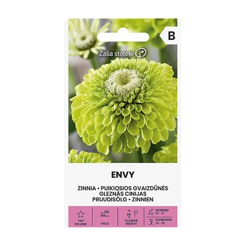 Zinnia, Envy Rabatter