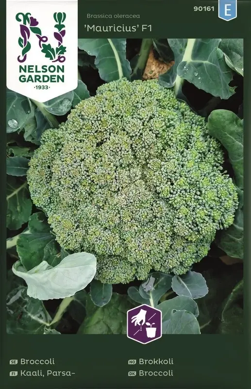 Broccoli Mauricius Lågt pris