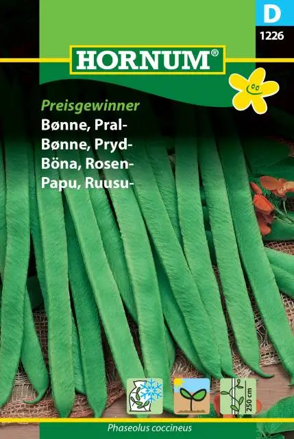 Rabatt Rosenböna 'Preisgewinner' frö