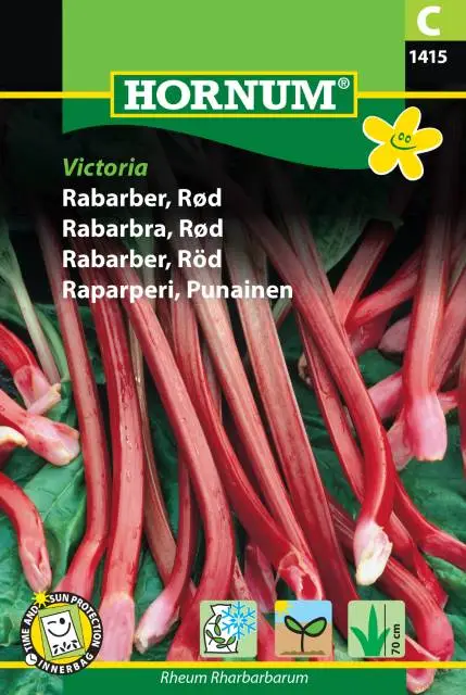 Rabarber 'Victoria' frö risnedsättning