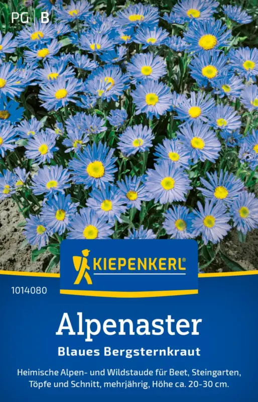 Billig Kiepenkerl Alpaster Blå Bergsstjärnört