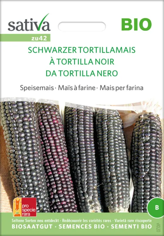 Sativa Sockermajs "Svart Tortillamajs", Eko Rea