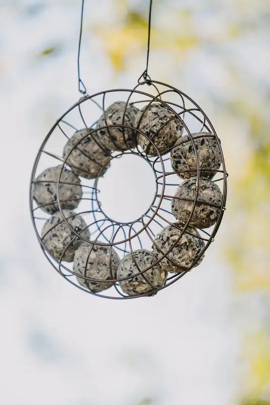 Fågelmatare talgboll Circle rost Ø24cm Populär