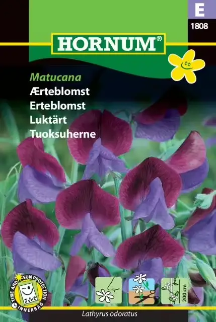 Fynd Luktärt ’Matucana’