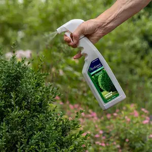 Buxbom bladnäring Feed & Shine 750ml spray Rabatter