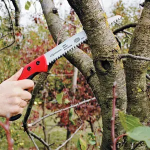 Kampanjpris Grensåg, Felco 621