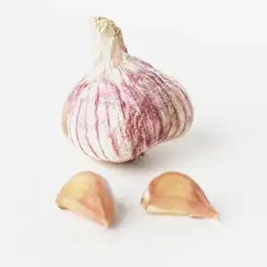 Begränsad tid Sättvitlök Germidour Ekologisk