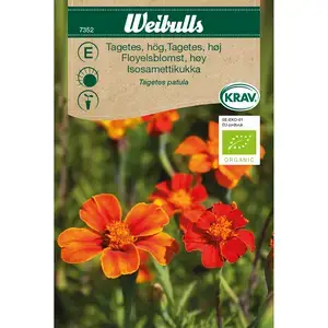 Tagetes, Enkel hög KRAV Begränsad tid