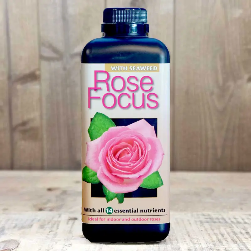 Lågt pris Rosnäring Rose Focus, 1 Liter