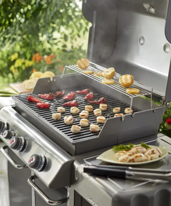 Grillgaller GBS - Genesis® 300-serien Utförsäljning