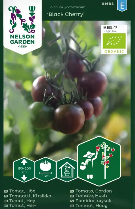 Begränsad tid Tomat, Hög, Black Cherry, Organic